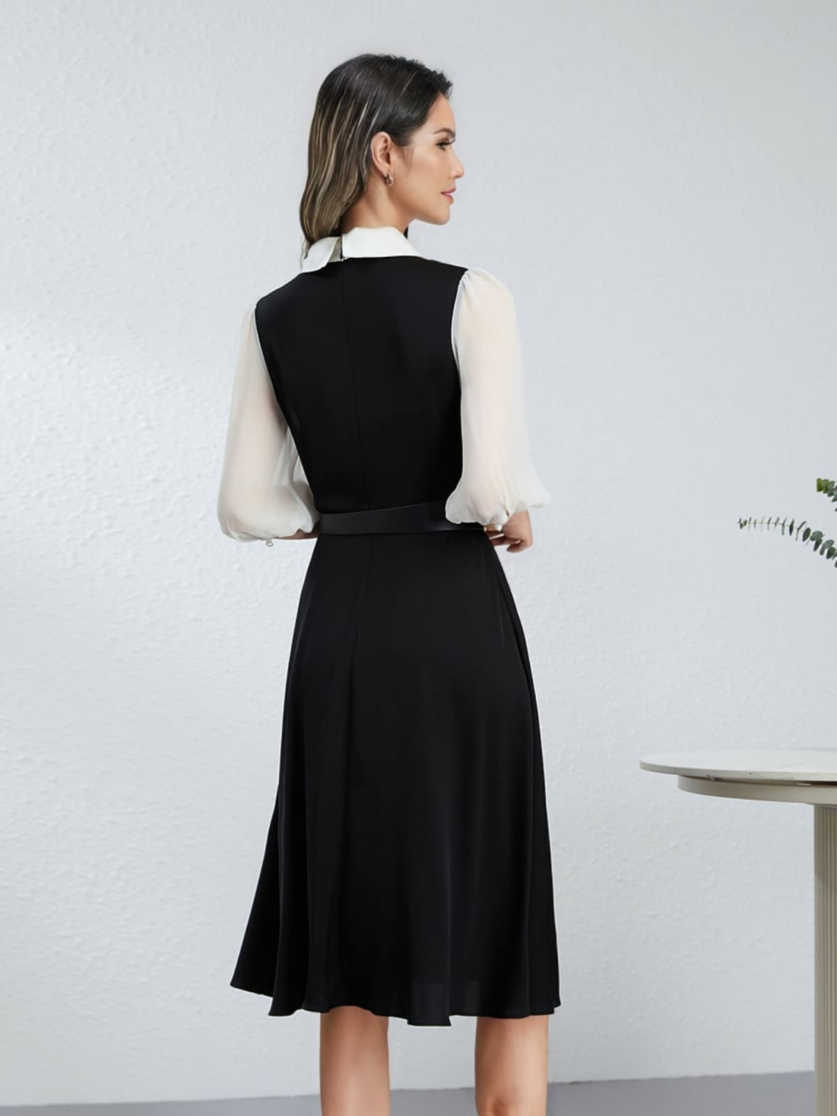 The back view of 2025 Boutique Paneled Mulberry Silk Dress
